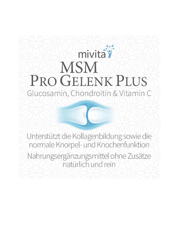 MSM Pro Articulaciones Plus